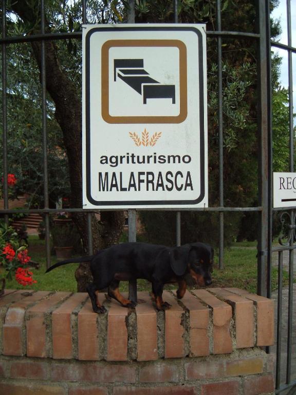 Agriturismo Malafrasca Villa Siena Buitenkant foto